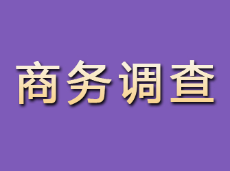 醴陵商务调查